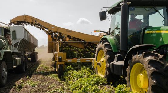 Procedura de acordare a facilitatilor fiscale în sectorul agricol și industrie alimentară. Modificări și clarificări